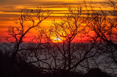 gün batımında sonbahar manzarası.
