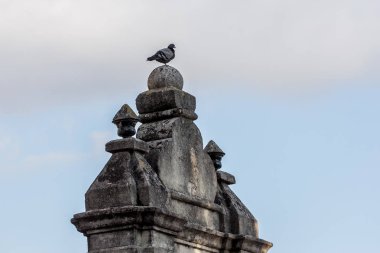 Bir taş alınlığın üzerinde güvercin.