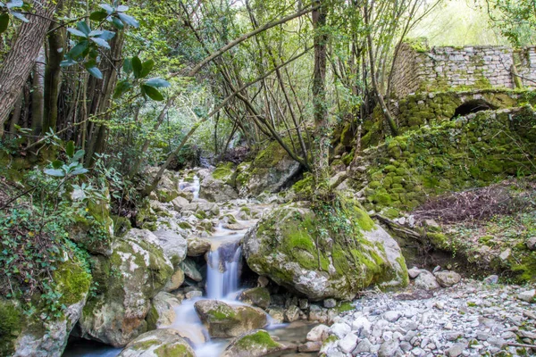 stock image Forest and an old water mill.