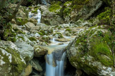 Bir orman dere bir şelale.
