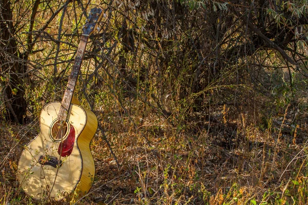 Gitara Lesie — Zdjęcie stockowe