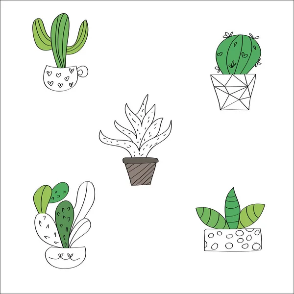 Illustration Vectorielle Cactus Fleurs — Image vectorielle