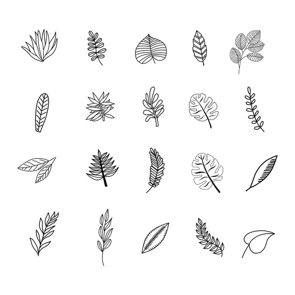 Vector Sketchy Set Tropical Leaves Isolated White Background — Stock Vector
