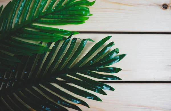 Ahşap beyaz bir arka plan üzerinde palmiye yaprakları