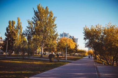 Güneşli bir günde gökyüzünün arka planında sarı ve yeşil sonbahar ağaçları