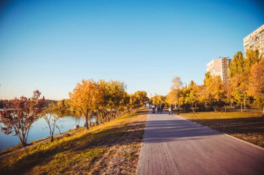 Güneşli bir günde gökyüzü ve nehrin arka planında sarı ve yeşil sonbahar ağaçları