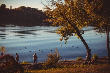 Güneşli bir sonbahar gününde ağaçların ve çimlerin arkasında güzel bir nehir.