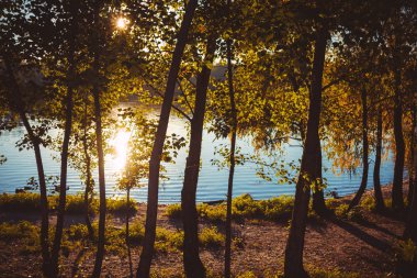 Güneşli bir günde nehrin arka planında sarı ve yeşil sonbahar ağaçları