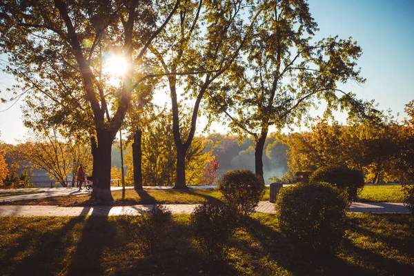 Beautiful nature in the city Park