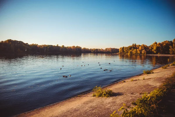 Beautiful nature in the city Park