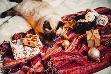 Büyük siyah bir fincanda Noel süslemeleri ve arka planda sıcak ve yumuşak bir ekoseli Siyam kedisi.