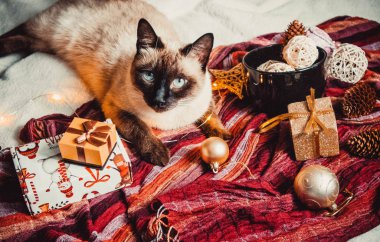 Sıcak ve yumuşak bir ekosenin arka planında Noel süslemeleri olan siyam kedisi