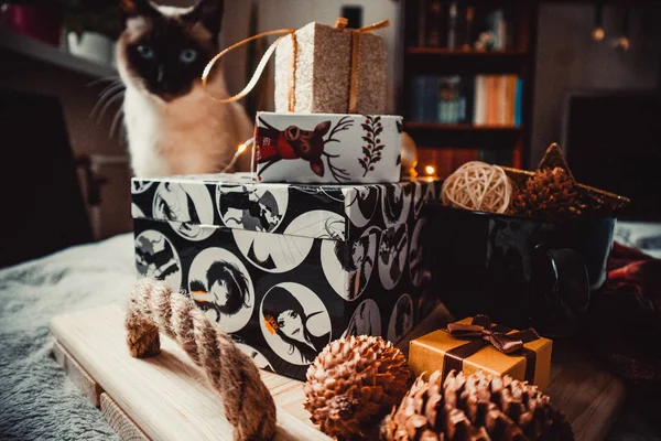 Sıcak ve yumuşak bir ekosenin arka planında Noel süslemeleri olan siyam kedisi