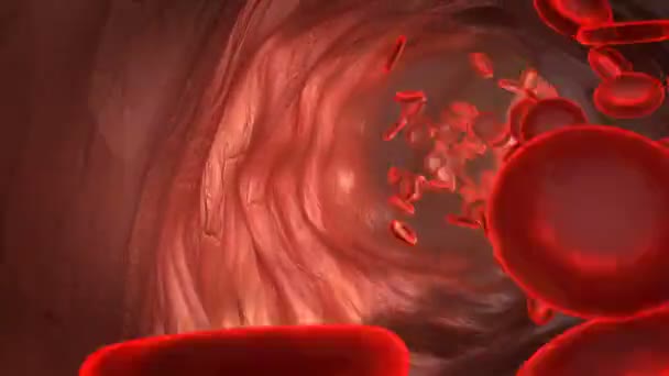 动脉中血颗粒运动的特写 — 图库视频影像