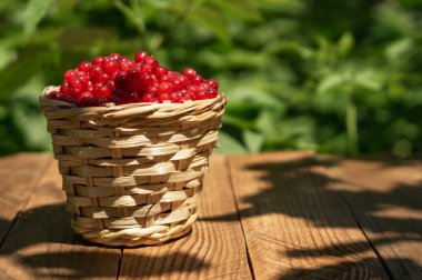 Frenk üzümlü sepet