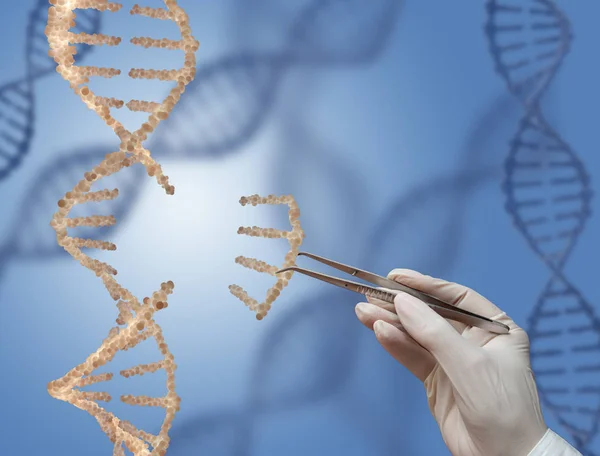 La molecola di DNA — Foto Stock