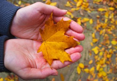 Elinde sararmış bir yaprak