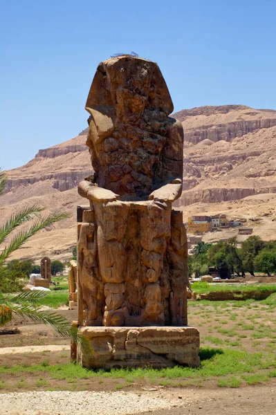 Colossus Memnon Mısır, Afrika'nın eski heykeli