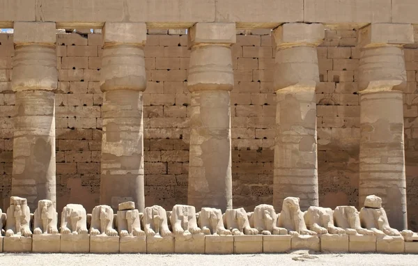 Kolommen Sfinxen Bij Ingang Aan Belangrijkste Tempel Van Amon Karnak — Stockfoto