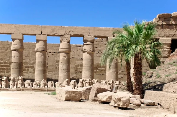 列とスフィンクス カルナック ルクソール エジプト アフリカのアモン の寺院の彫刻 — ストック写真