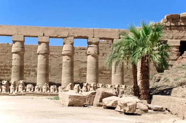 Sütunlar ve Sfenks, tapınak Amon-Ra Karnak, Luxor, Mısır, Afrika heykelleri