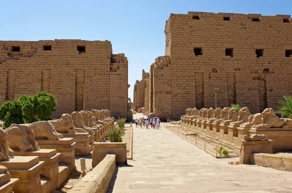 カルナックの神殿の前にスフィンクスの路地 エジプト ルクソール — ストック写真