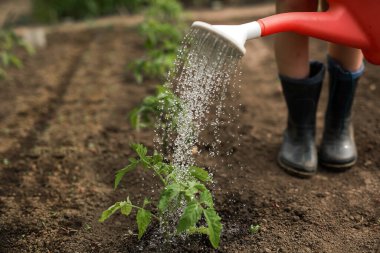 Bahçe yataklarını sulayan bir teneke kutu ve çerçevedeki lastik botlar arka planda görünüyor..
