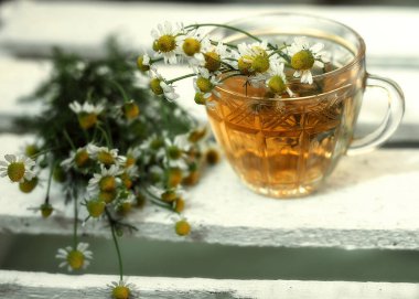 Bir bardak çay papatya tarlasının yanında..