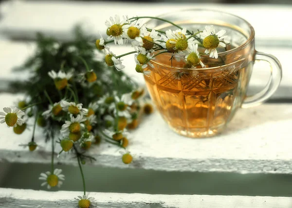 Bir bardak çay papatya tarlasının yanında..