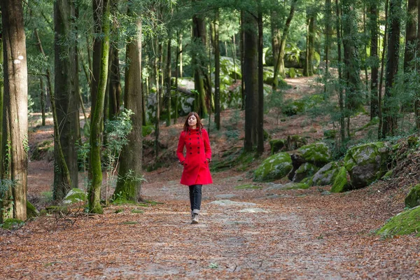 寒い冬の日に赤い外套を着て森の土の道を一人で歩く若い女性 — ストック写真