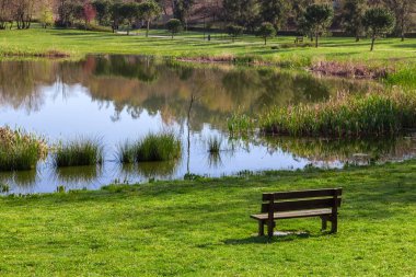 Garden bench overlooking the lake or pond of Parque da Devesa Urban Park in Vila Nova de Famalicao, Portugal. Built near the center of the city. View of the green grass lawns, and lake. clipart