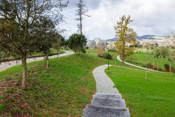 Vaciado Camino Empedrado Pista Sendero Sendero Través Los Árboles Césped — Foto de Stock