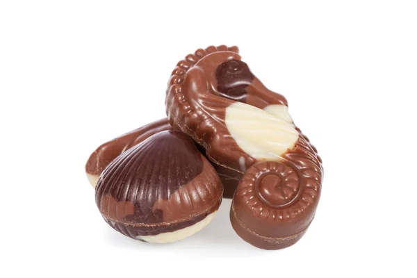 Belgian Bonbons Shaped Seashells Isolated White Background — Stock Photo, Image