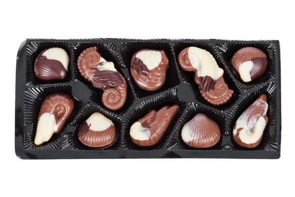 Tablett Mit Belgischen Milchschokolade Bonbons Form Von Muscheln Mit Venusmuscheln — Stockfoto