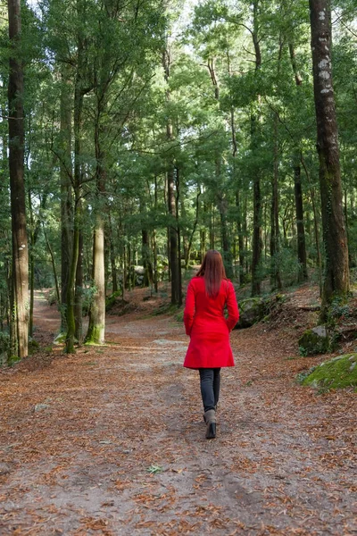 Jeune Femme Allant Seule Sur Sentier Forestier Portant Manteau Rouge Image En Vente