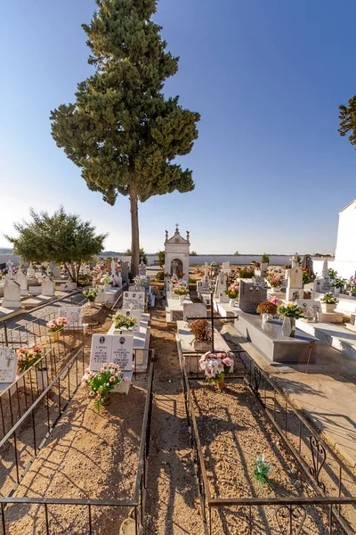 Crato Portugal Diciembre 2015 Tumbas Pobres Típico Cementerio Católico Con —  Fotos de Stock