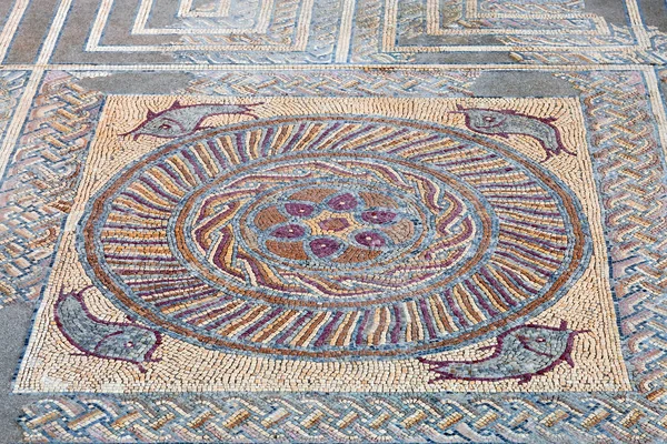 Primo Piano Mosaico Decorativo Tessera Romana Pavimentazione Nel Peristilio Della — Foto Stock