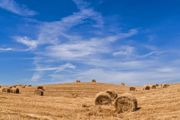 Сільськогосподарський Регіон Сільську Місцевість Під Час Врожаю Сіна Або Пшениці — стокове фото