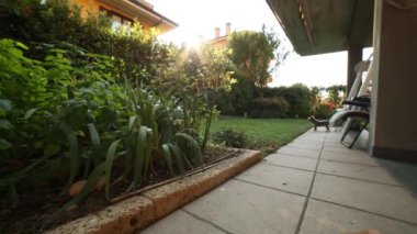 bir bahçe bir tatlı su birikintisi hareketli görünümü.