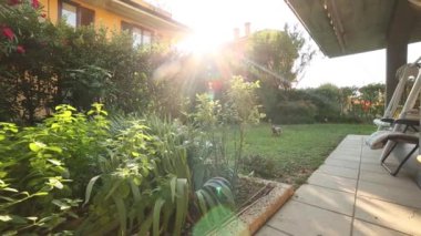 bir bahçe bir ev görünümünü taşıma