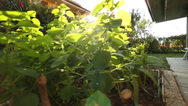 Bewegende Weergave Van Een Huis Met Een Tuin — Stockvideo