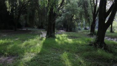 Adda Nord Parkı, Lario 'nun Lecco şubesinin aşağısındaki Adda Nehri' nin geçtiği ovaları kapsayan koruma altındaki doğal bir alandır.