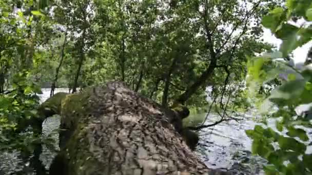 Le parc Adda Nord est une zone naturelle protégée qui comprend les basses terres traversées par la rivière Adda, en aval de la branche Lecco du Lario 
