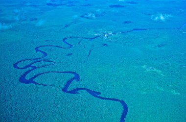 RIVER IN THE AMAZON FOREST, FROM THE AIR, AMAZONAS STATE, VENEZUELA clipart