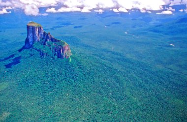 CERRO AUTANA TEPUI (1. 208 metre) PİAROA İNDİYONLARI, AMAZONAS VENEZUELA
