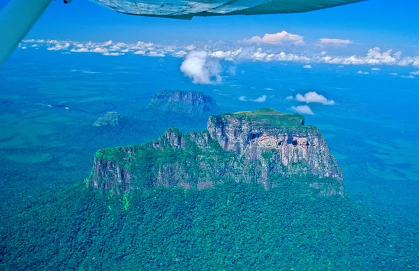 Cerro Autana Tepui 208 Metre Aroa Ndi Yonlari Amazonas Venezuela — Stok fotoğraf