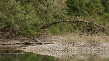 Kuzey Adda Parkı 'ndaki bataklıklar ve bataklıklar