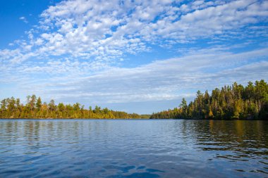 Sonbahar boyunca güzel bulutların altında kuzey Minnesota gölünün çamlarıyla kıyı şeridi