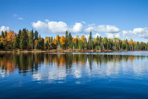 Güneşli bir günde kuzey Minnesota 'da sonbahar renklerinde ağaçlarla kaplı mavi alabalık gölü