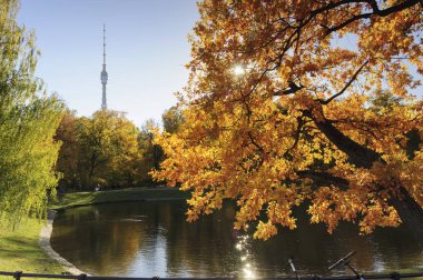Ostankino Şehir Park üzerinde sıcak bir sonbahar günü, Moskova'da. Hint yaz